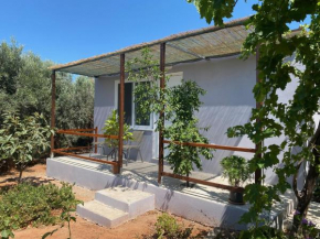 Vine Veranda